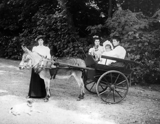 Chariot à âne victorien, vers 1890